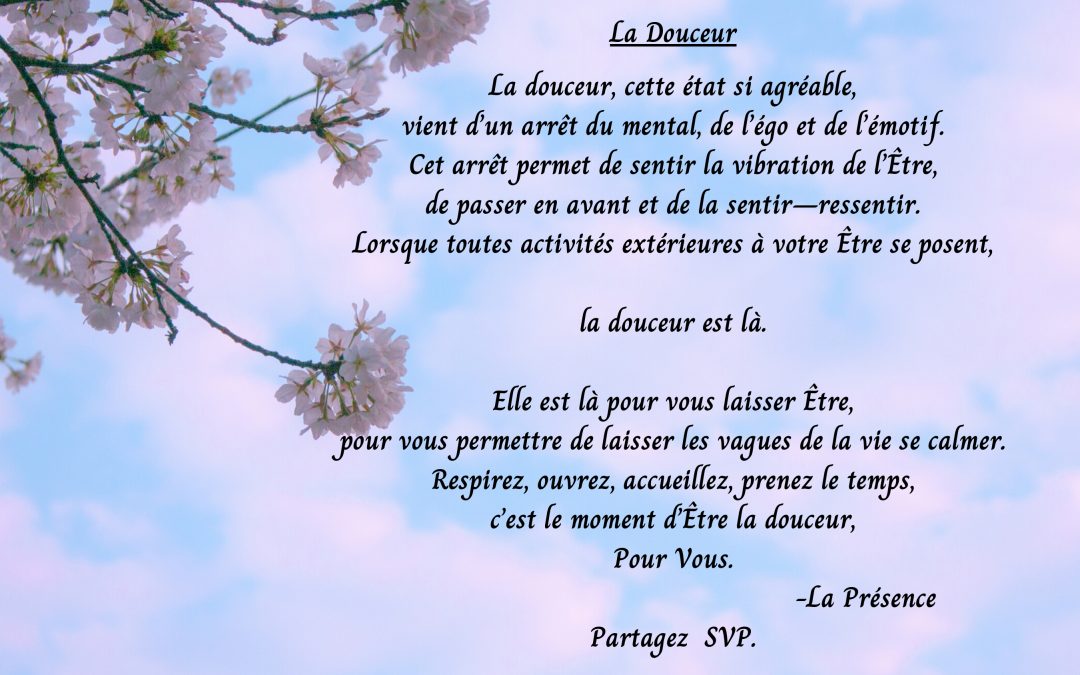 La Douceur. La douceur, cette état si agréable, vient d’un arrêt du mental, de l’égo et de l’émotif…